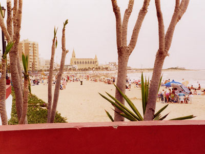 La Asociación JARIFE solicita al Ayuntamiento la modificación de la ordenanza municipal de playas.
